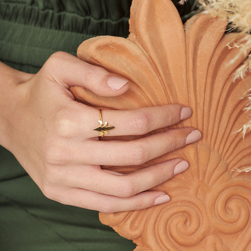 SPINOSUS RING